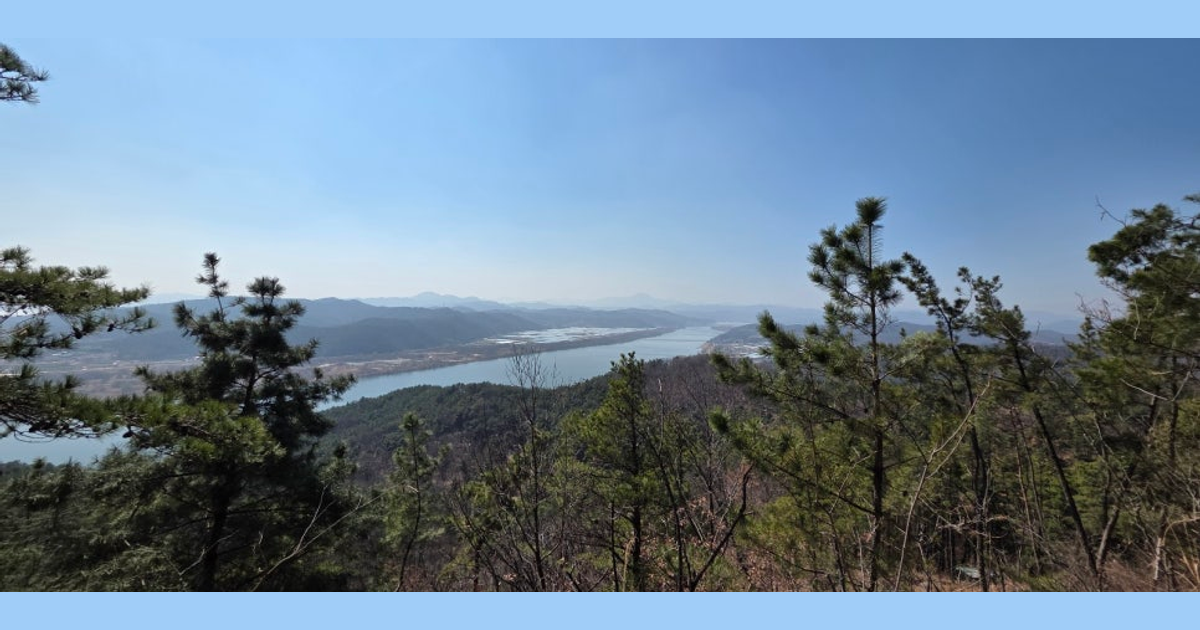 소나무 가지 사이로 멀리 굽이치는 강과 산능선이 시원하게 내려다보이는 풍경.