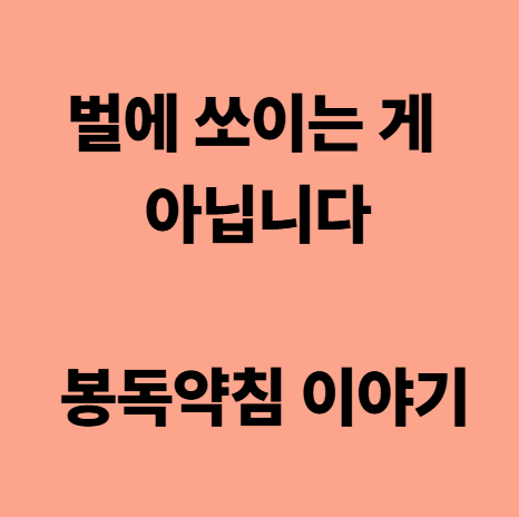 벌에 쏘이는 게 아닙니다 봉독약침 이야기